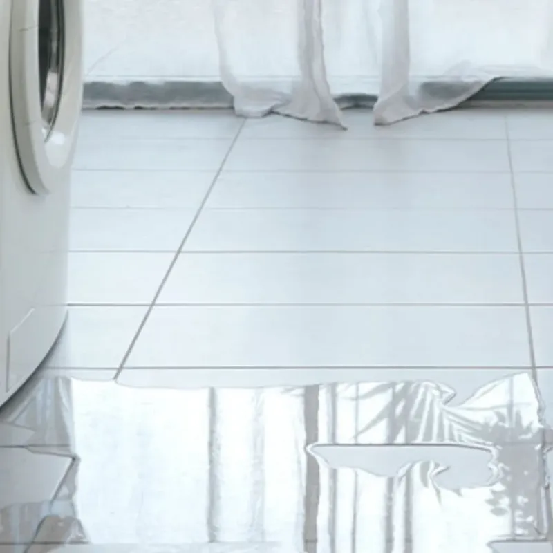 Appliance Leak Cleanup in Mackinac County, MI