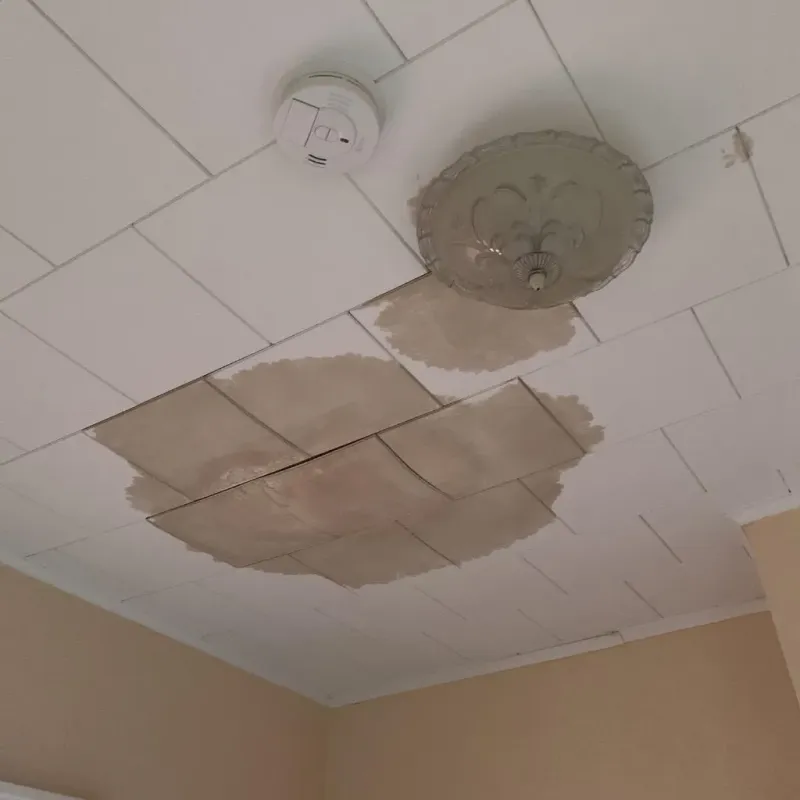 Ceiling Water Damage Repair in Mackinac County, MI