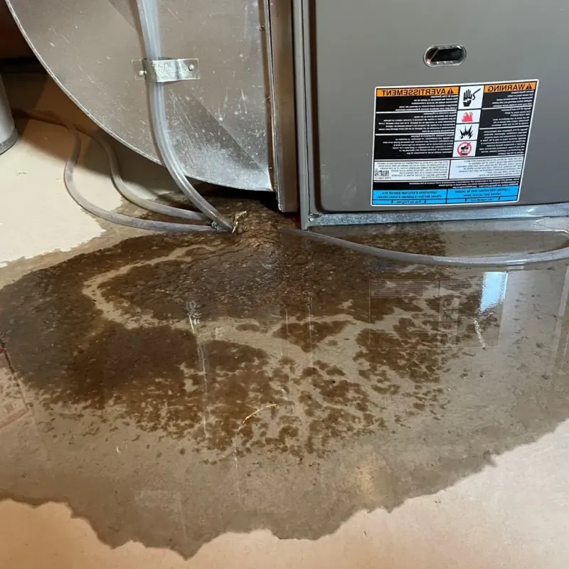 Pipe Burst and Leak Restoration in Mackinac County, MI