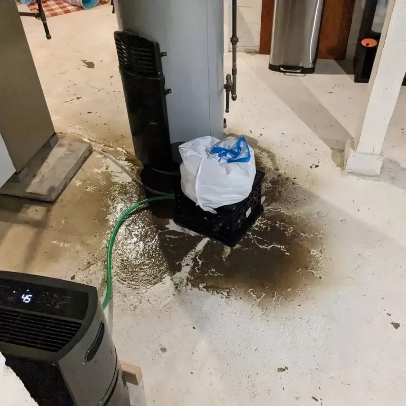 Sewage Backup Cleanup Service in Mackinac County, MI
